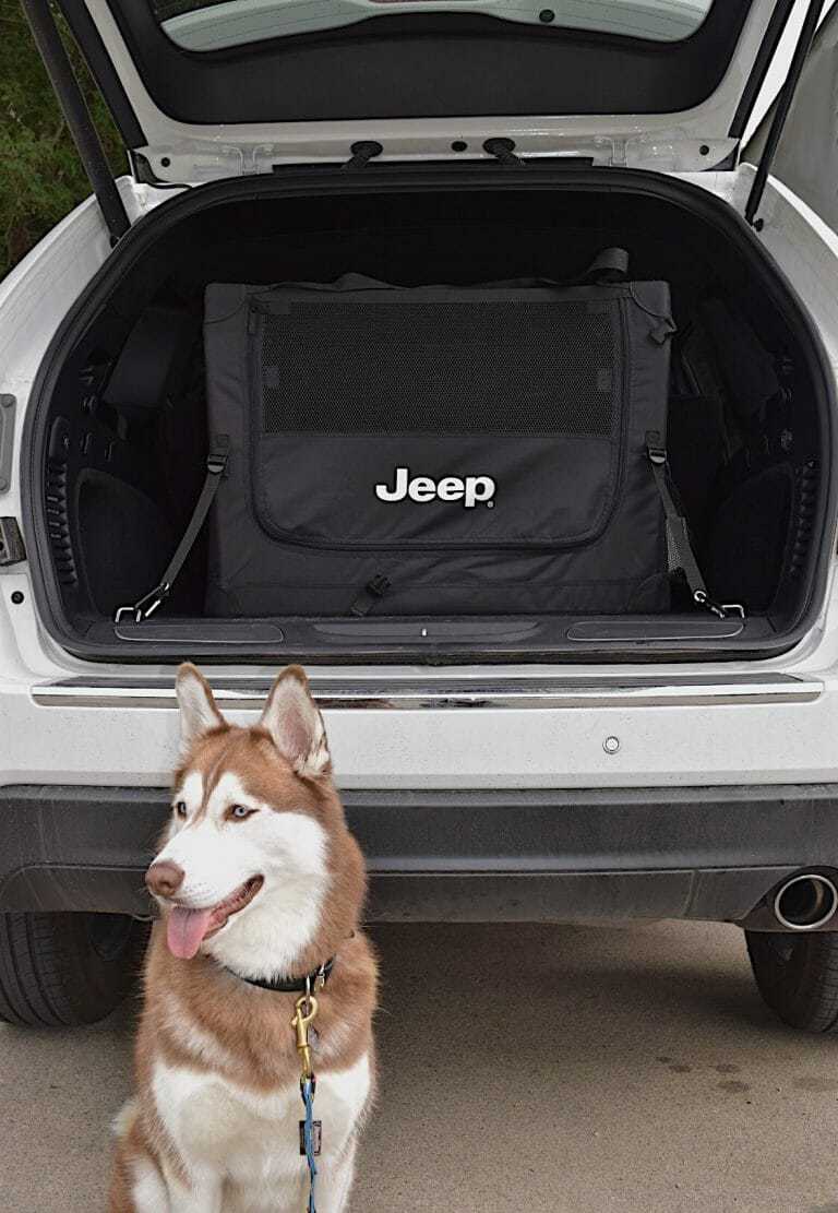 Jeep Dog Kennel Review Your Dog Advisor