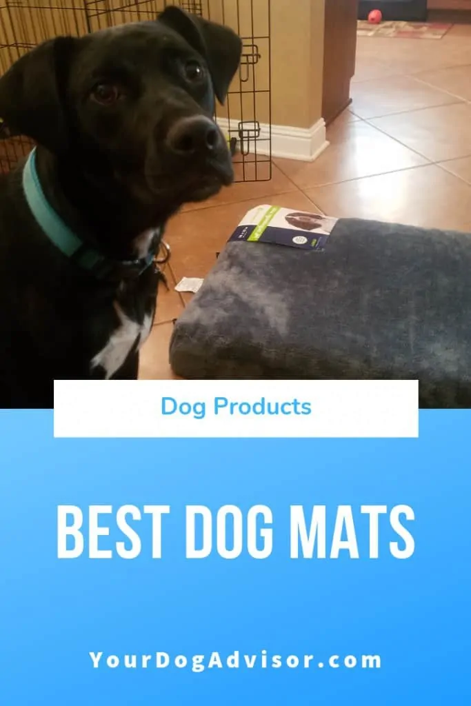 Best Dog Mat 3