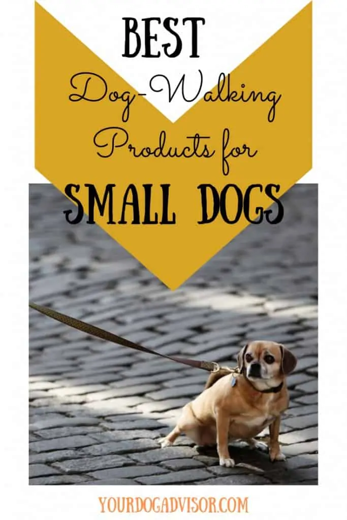 Best Dog-Walking Products for Small Dogs 6