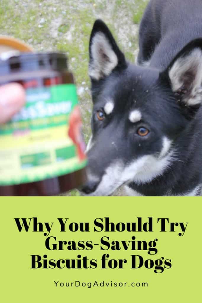 are grasssaver biscuits safe for dogs