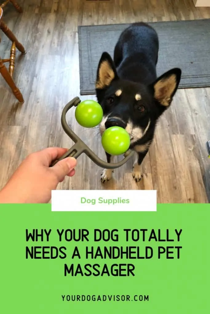 Why Your Dog Totally Needs a Handheld Pet Massager 4