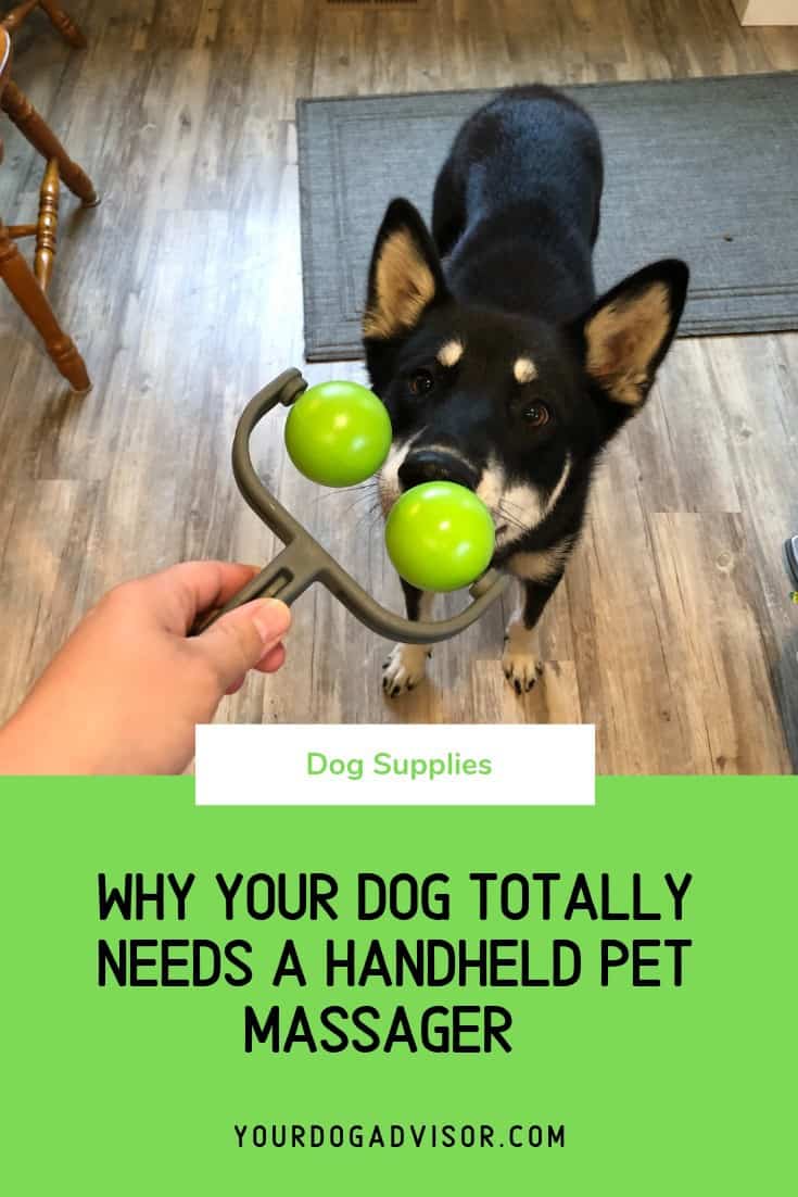 Why Your Dog Totally Needs a Handheld Pet Massager Your Dog Advisor
