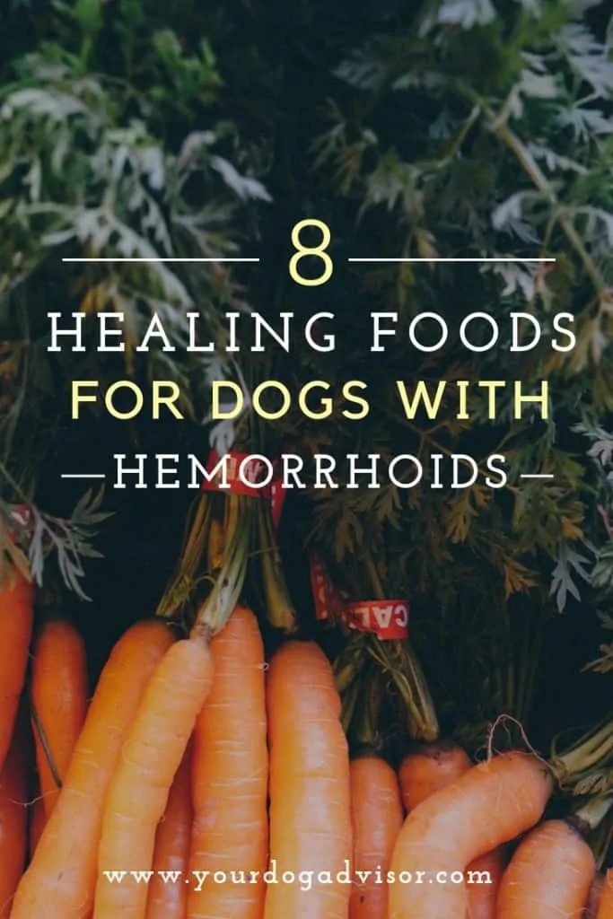 8 Healing Foods for Dogs With Hemorrhoids 7