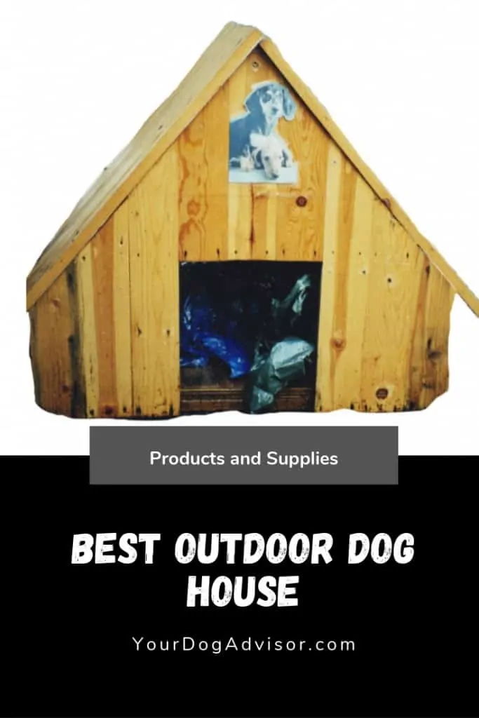 Best Outdoor Dog House 8