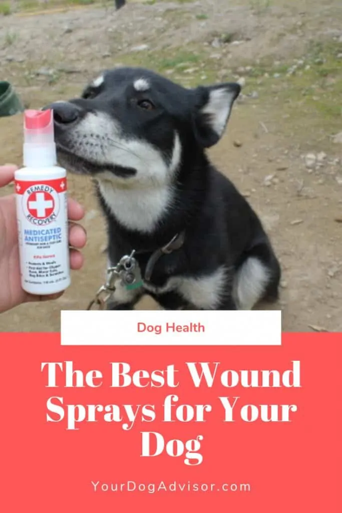 The Best Wound Spray for Your Dog  6