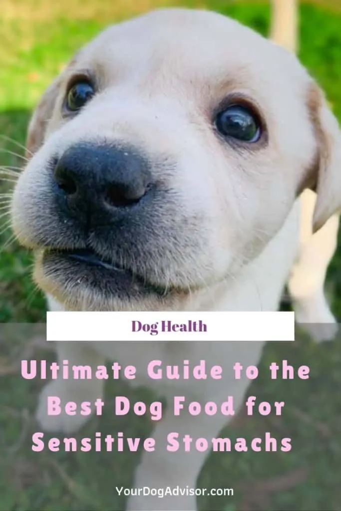 Best Dog Food for Sensitive Stomachs 3