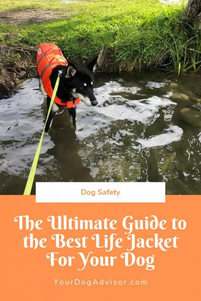 The Ultimate Guide to the Best Dog Life Jacket Vest Your Dog