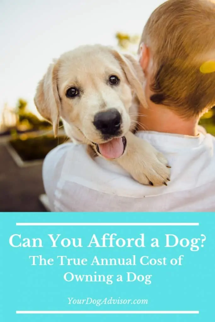 Can You Afford A Dog? The True Annual Cost of Owning a Dog 13