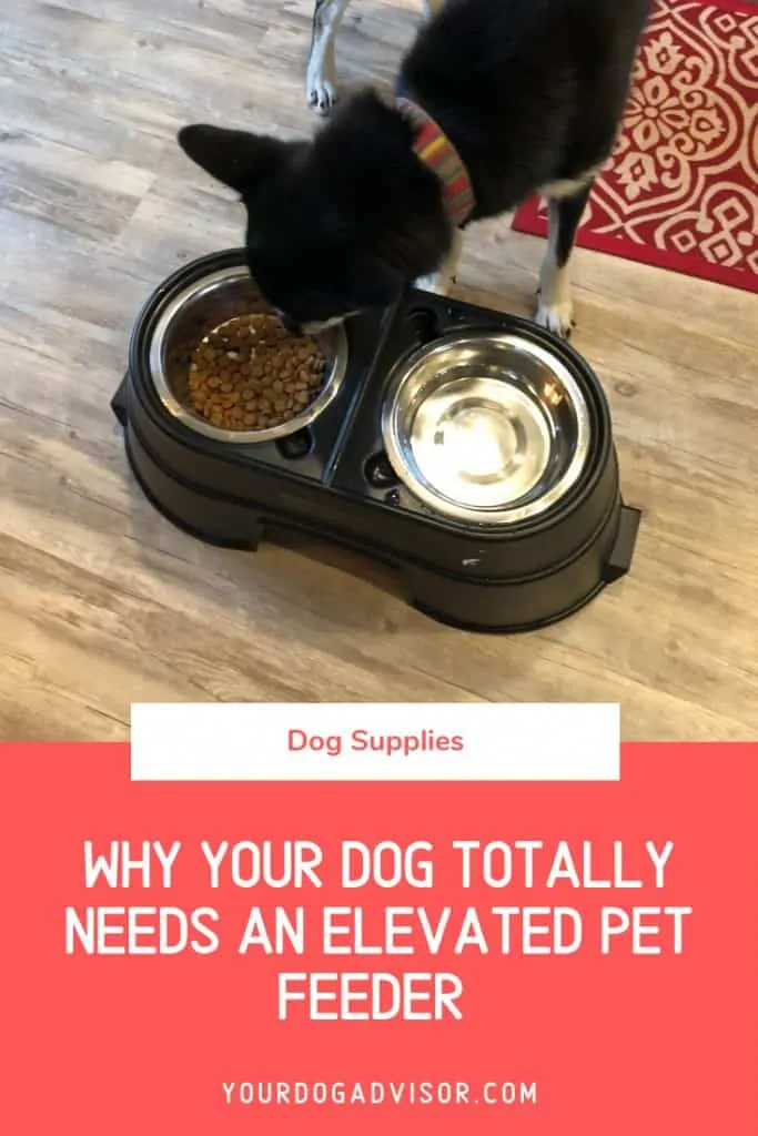 Why Your Dog Totally Needs an Elevated Pet Feeder 5