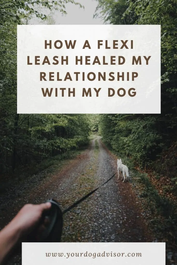 How the Best Retractable Dog Leash Healed my Relationship with My Dog 8