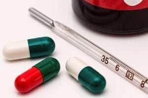 11 Things Your Vet Wants You To Know About Dog Flu Your Dog Advisor