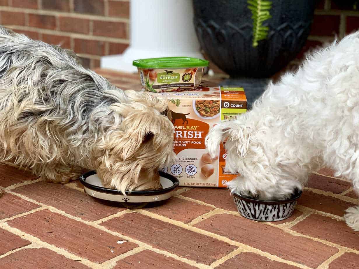 Rachael Ray Nutrish Super Premium Wet Dog Food Review Your Dog Advisor