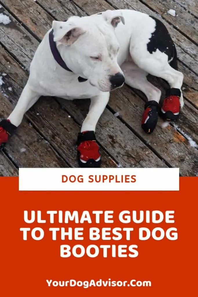 Ultimate Guide to the Best Dog Booties 8