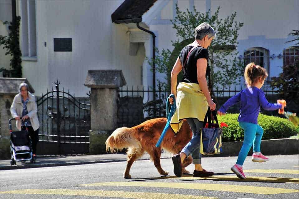Say Bye to Prong Collars - 10 Better Products for Dogs that Pull on Leash 4 Say Bye to Prong Collars - 10 Better Products for Dogs that Pull on Leash 4