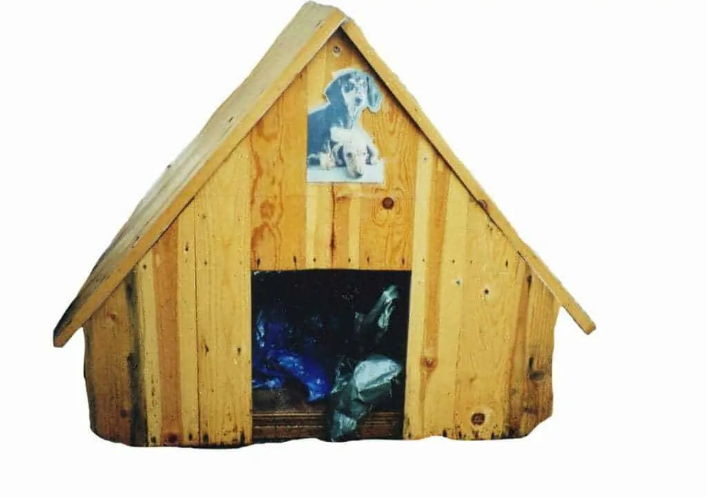 Best Outdoor Dog House 6