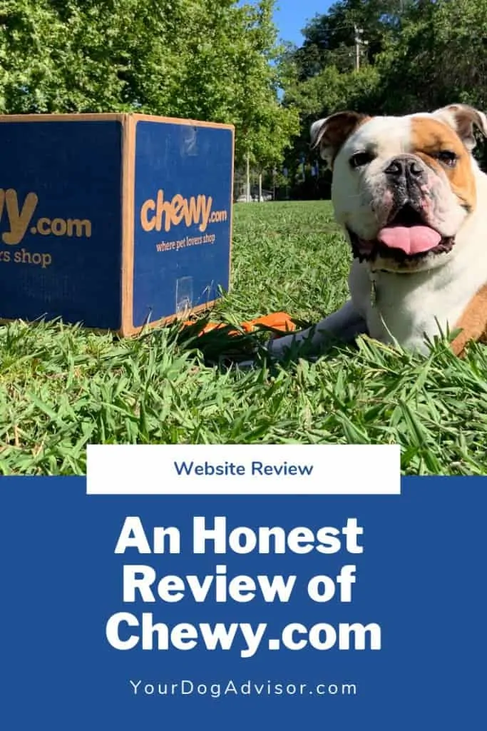 An Honest Review of Chewy.com 14