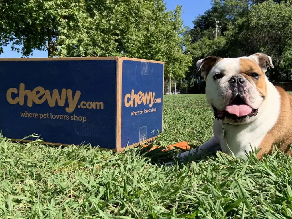 An Honest Review of Chewy.com 1