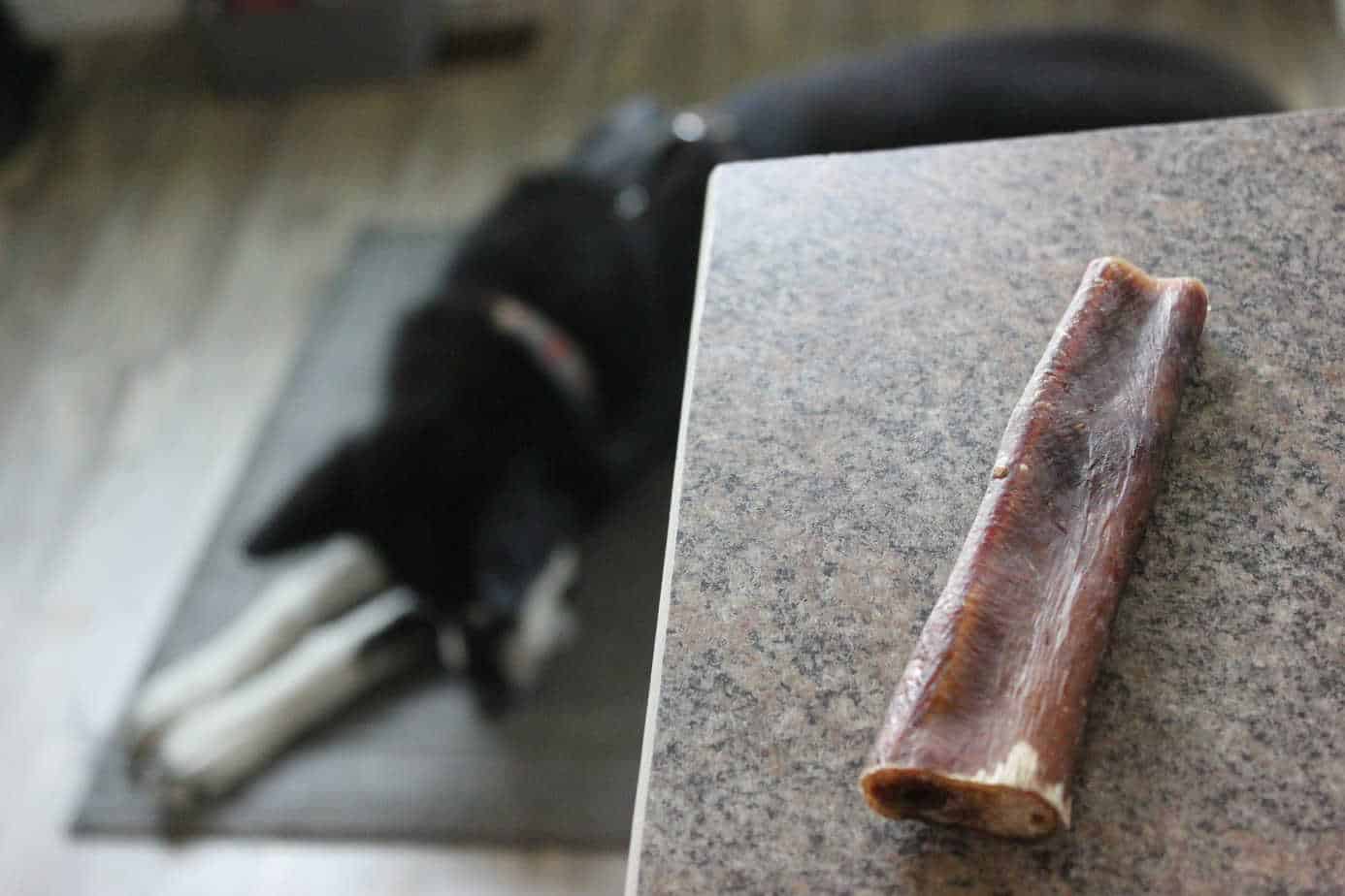 The Best Bully Sticks for Dogs Your Dog Advisor