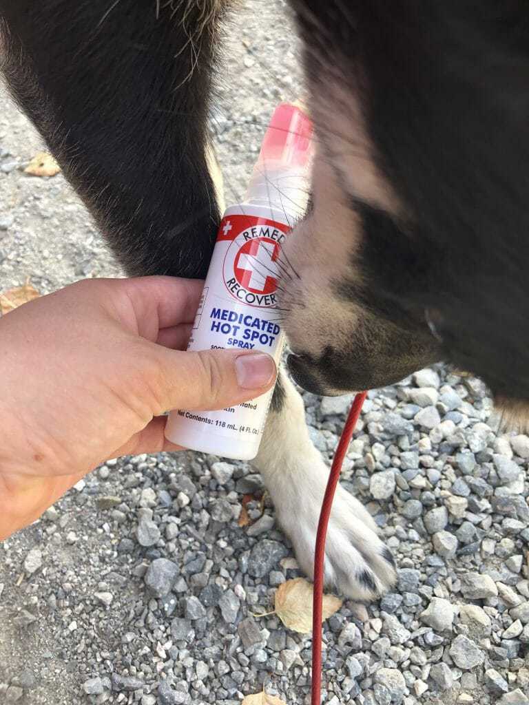 remedy recovery hot spot spray