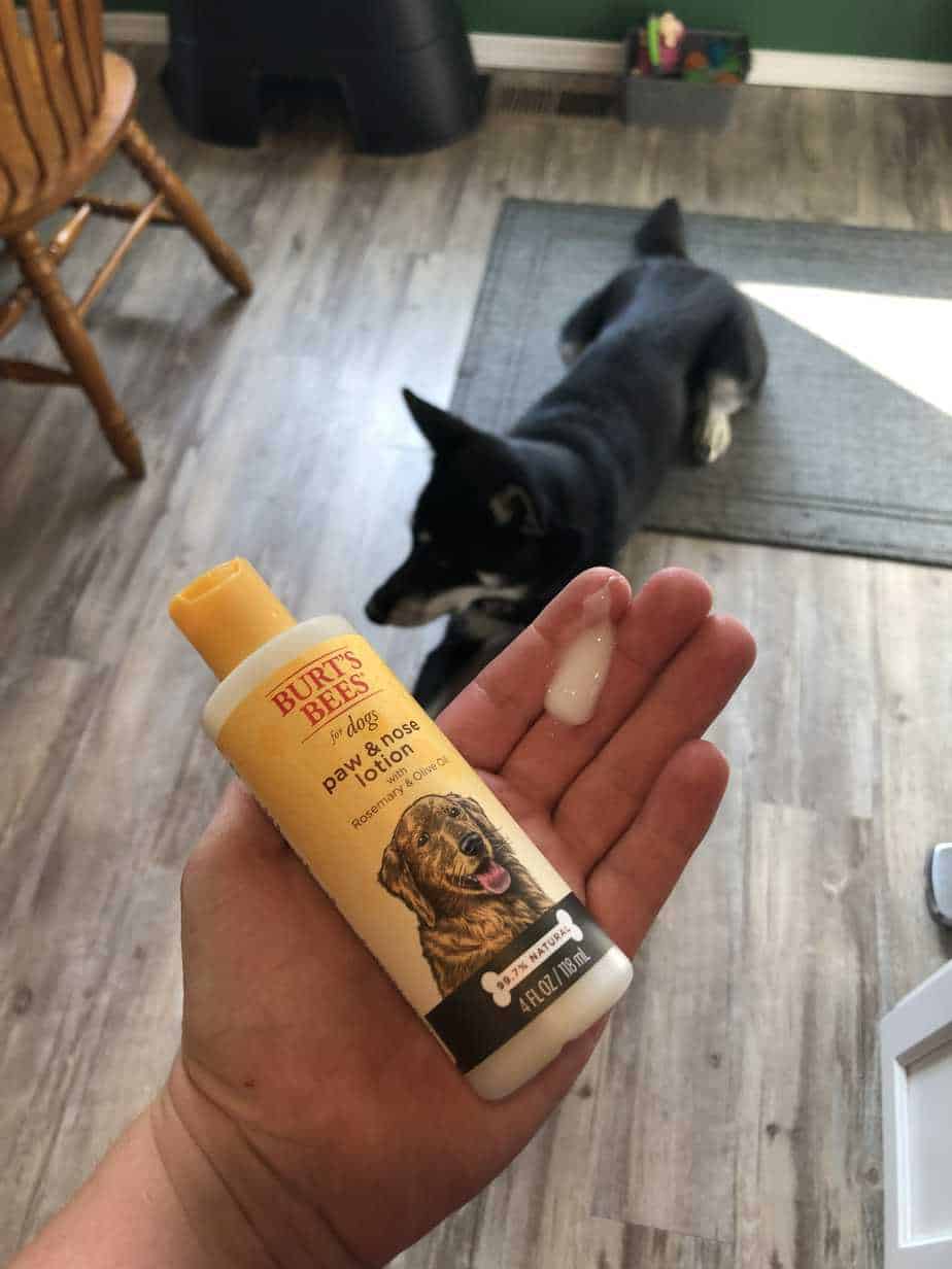 The Best Burt’s Bees Products for Dogs Your Dog Advisor