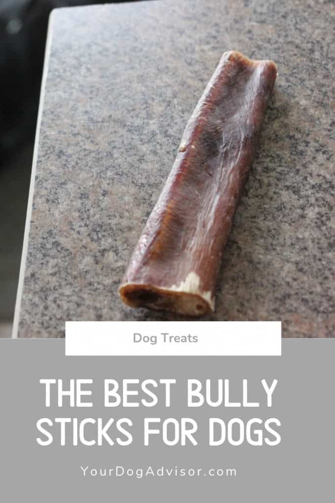 best bully toys