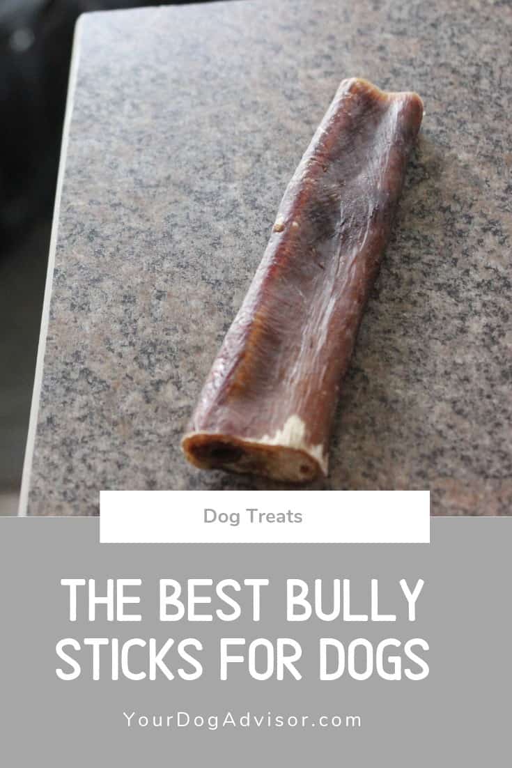 The Best Bully Sticks for Dogs Your Dog Advisor