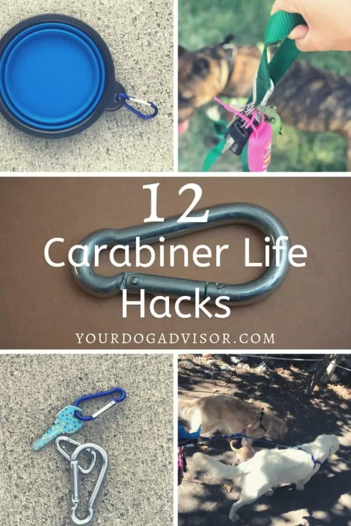 Carabiner Life Hacks! 12 Things Dog Owners Can Do With Carabiners That Will Blow Your Mind 11