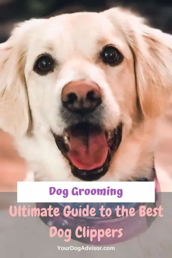 The Best Dog Clippers 5