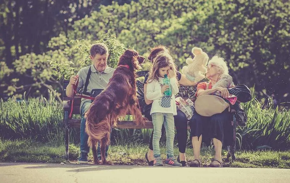 15 Fun Ways To Celebrate Your Dog’s Birthday 15