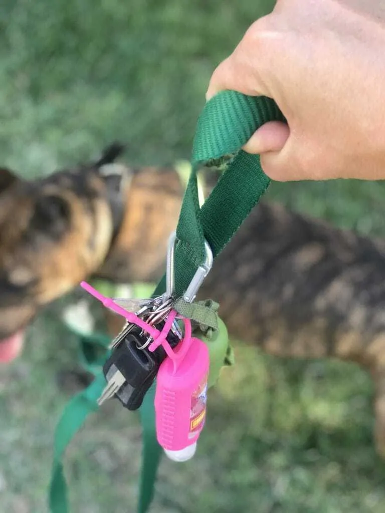 Carabiner Life Hacks! 12 Things Dog Owners Can Do With Carabiners That Will Blow Your Mind 3