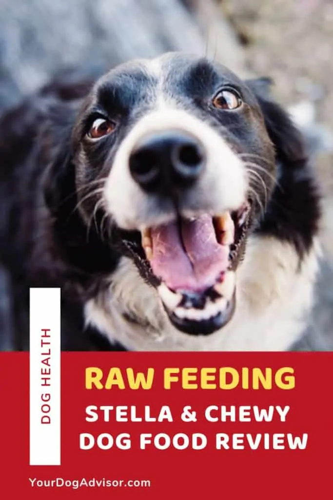 2021 stella and chewys dog food review the best raw diet