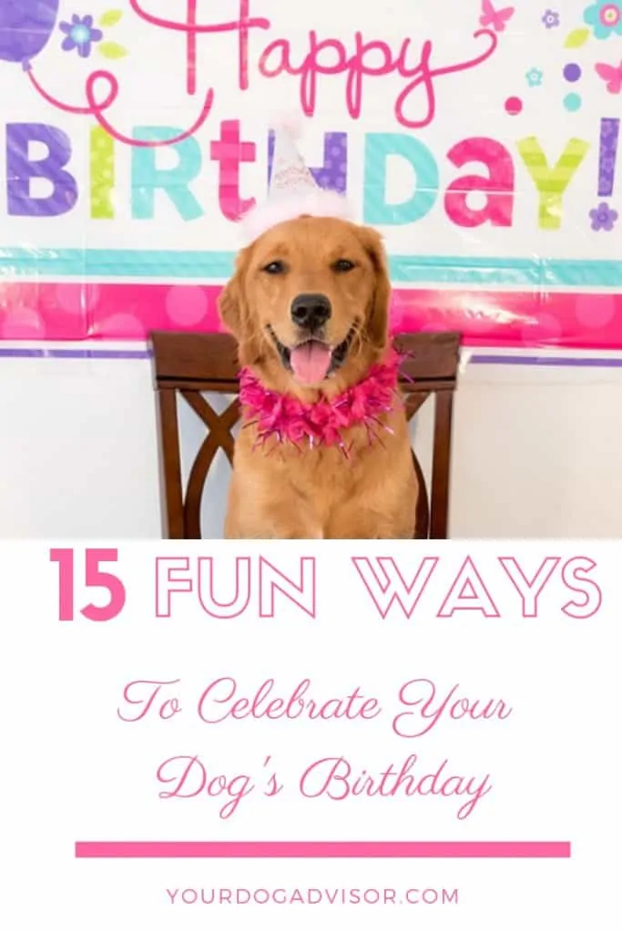 15 Fun Ways To Celebrate Your Dog’s Birthday 16