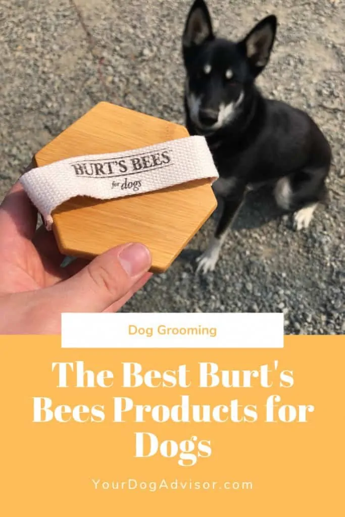 The Best Burt’s Bees Products for Dogs 8