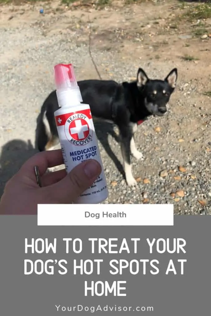 How to Treat Your Dog’s Hot Spots at Home 5