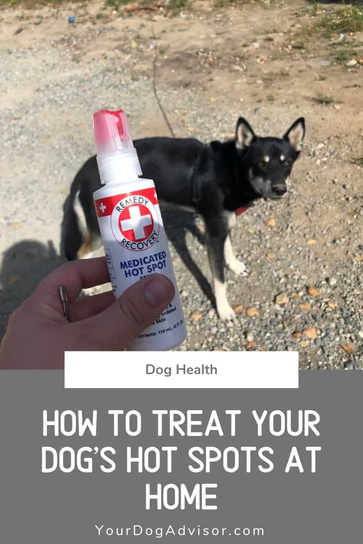 How to Treat Your Dog’s Hot Spots at Home Your Dog Advisor