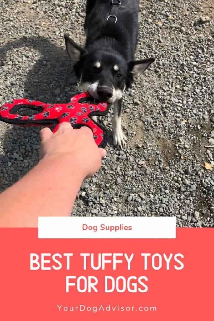 The Best Tuffy Toys for Dogs  5