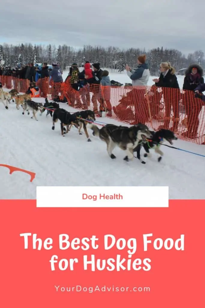 The Best Dog Food for Huskies 8