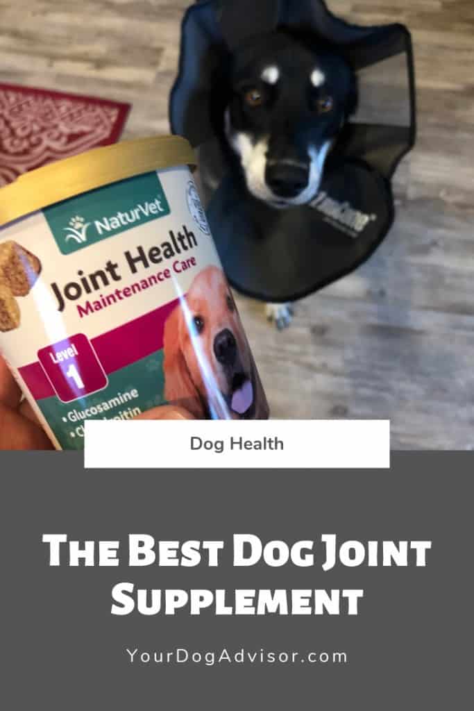 The Best Dog Joint Supplement Your Dog Advisor