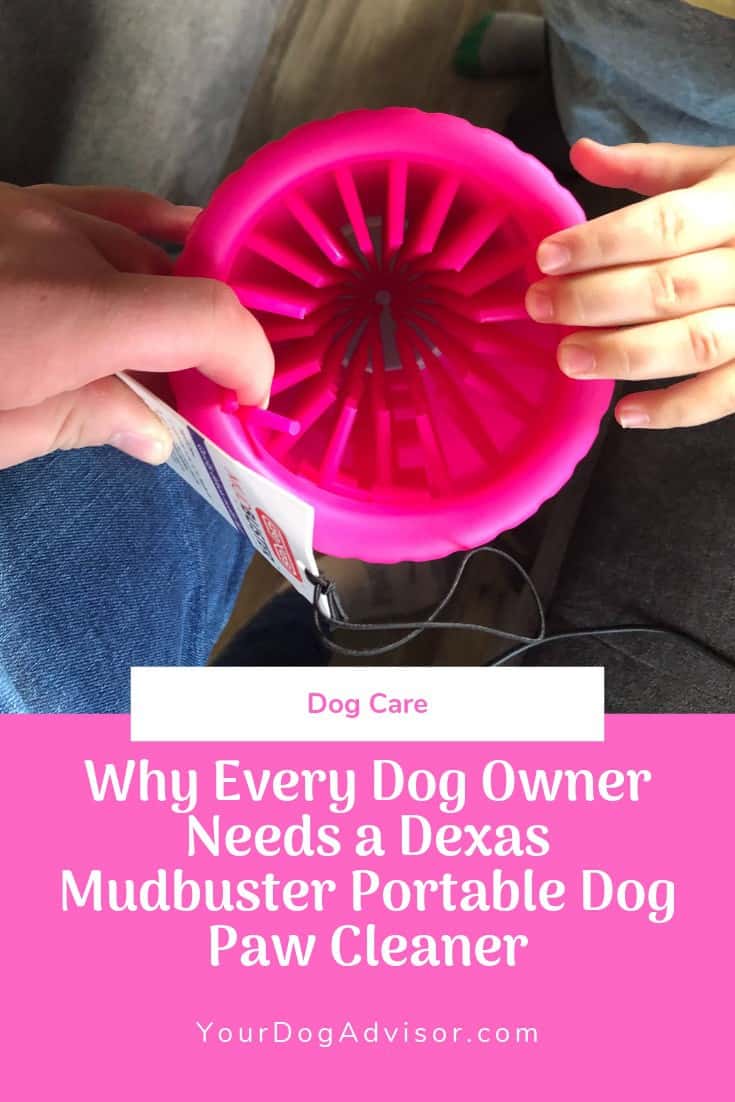 Dexas Mudbuster Portable Dog Paw Cleaner Review Your Dog Advisor