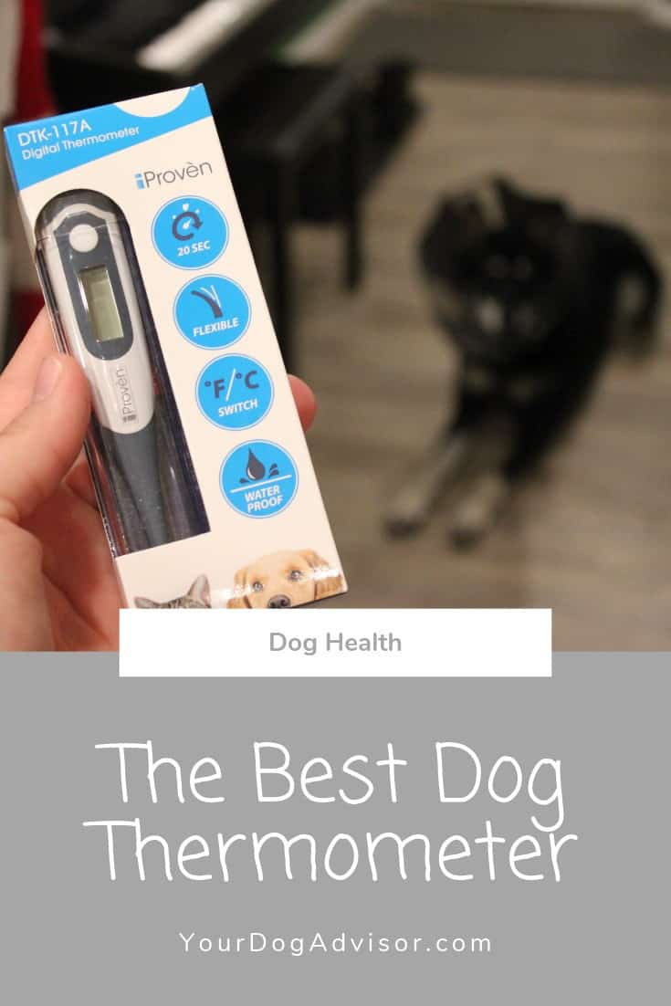 The Best Dog Thermometer Your Dog Advisor