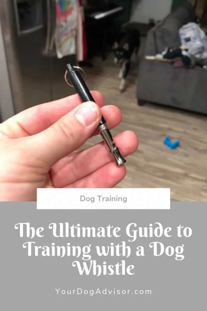 Ultimate Guide to Dog Whistle Training (Plus our Favorite Whistles) 5