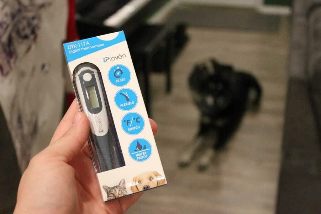 The Best Dog Thermometer  1