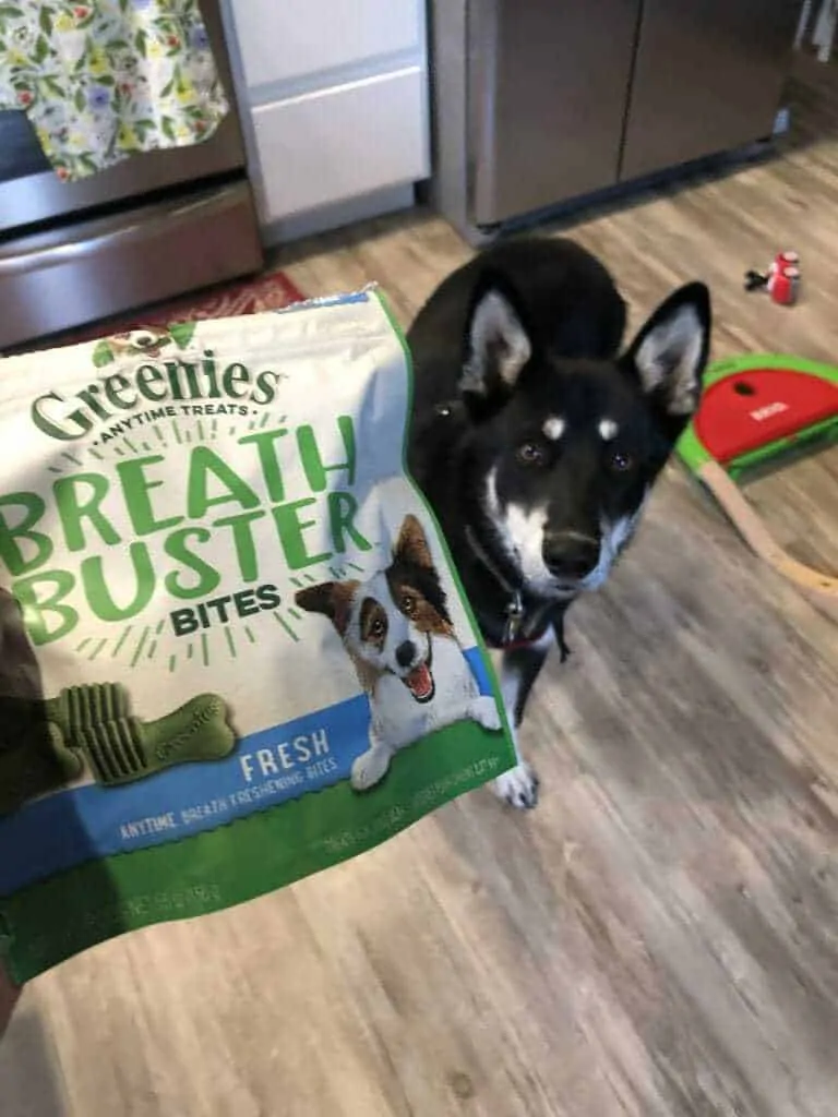 Greenies breath outlet busters