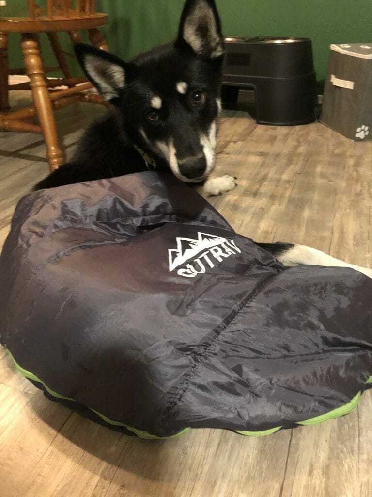 The Best Dog Sleeping Bag Your Dog Advisor