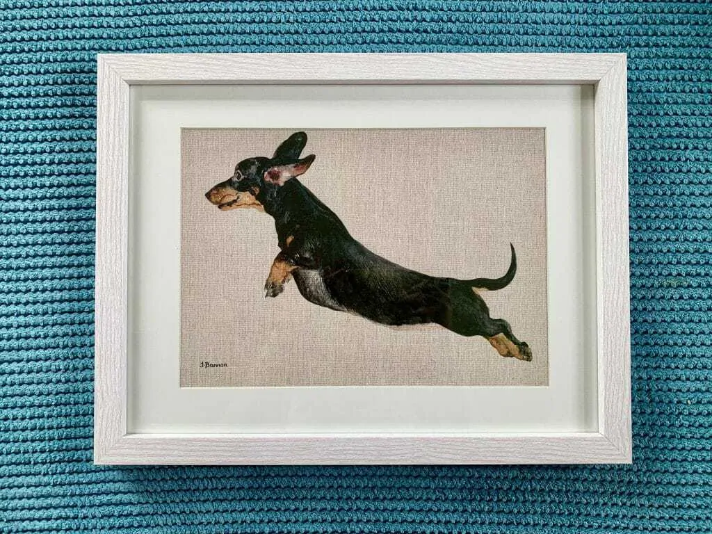 14 Best Gifts for Dachshund Lovers 5