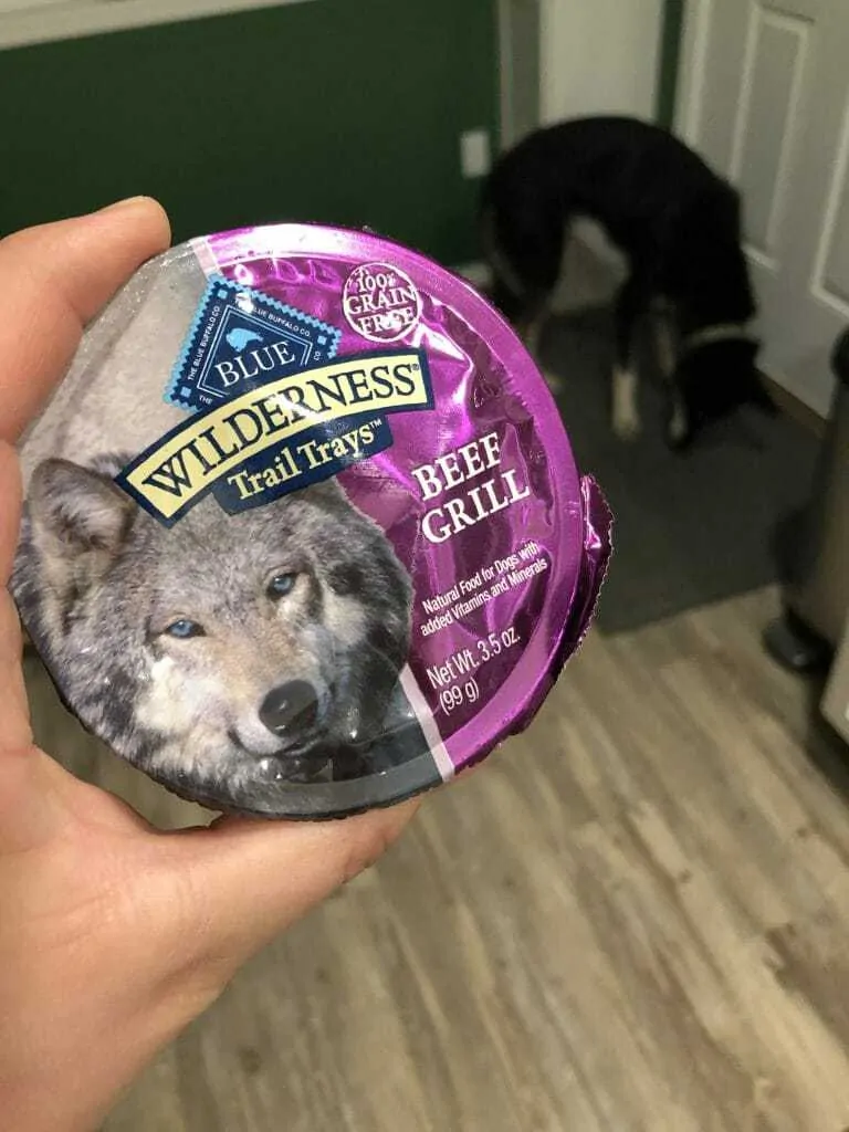 The Best Dog Food for Huskies 6