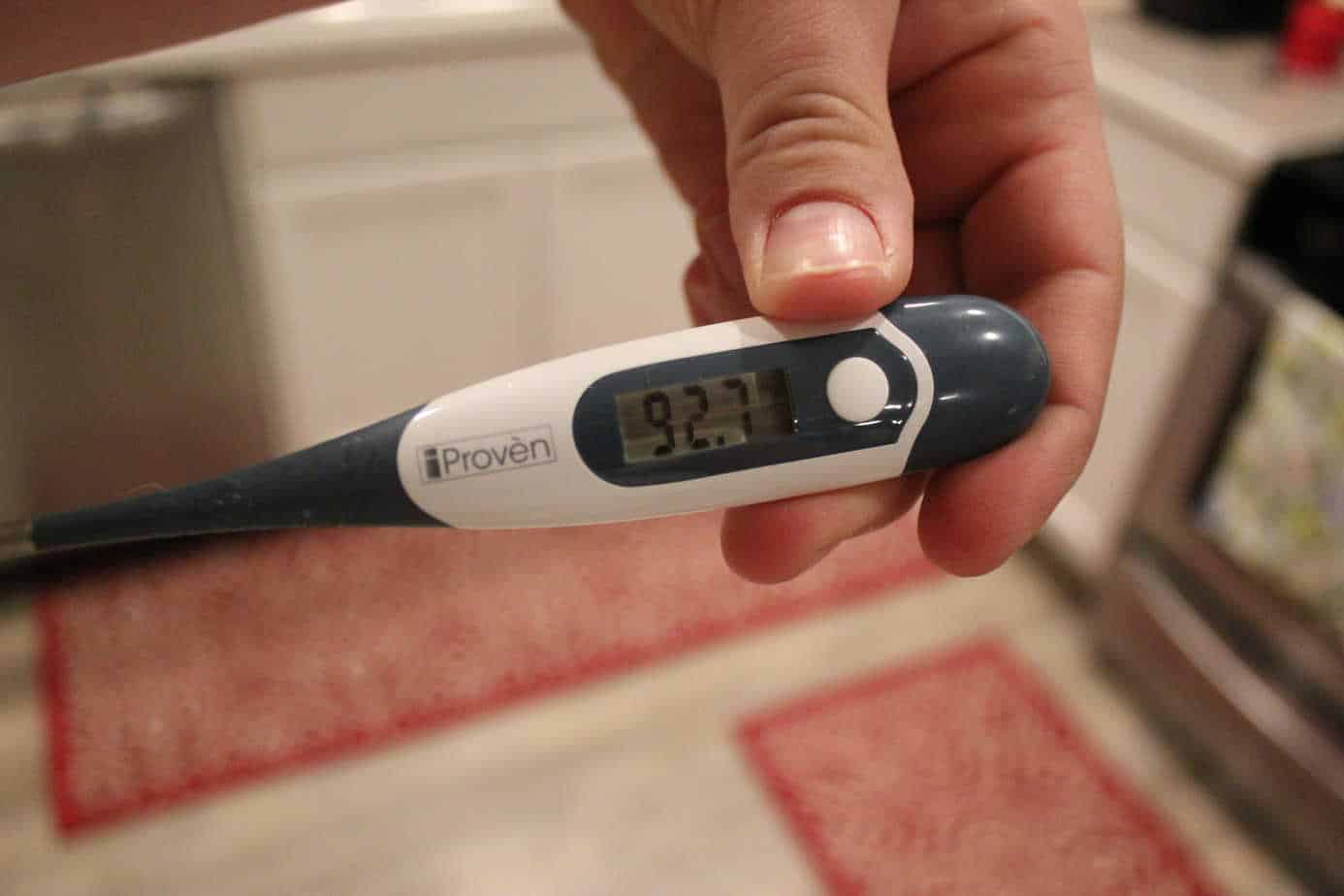 The Best Dog Thermometer Your Dog Advisor