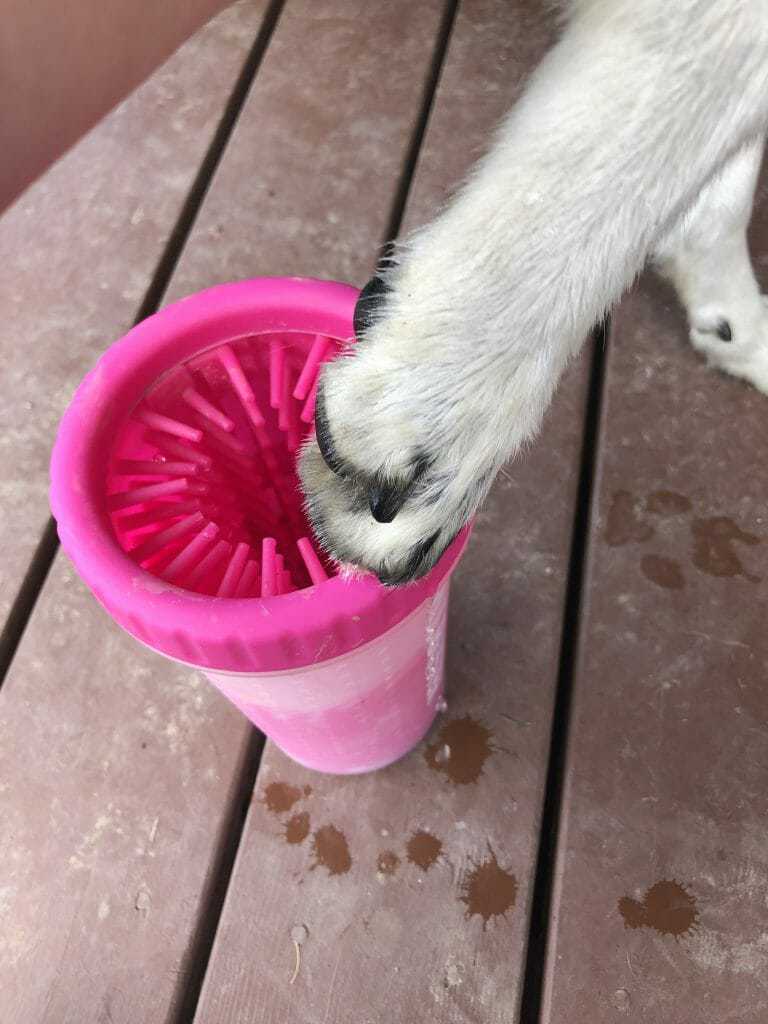Dexas Mudbuster Portable Dog Paw Cleaner Review Your Dog Advisor