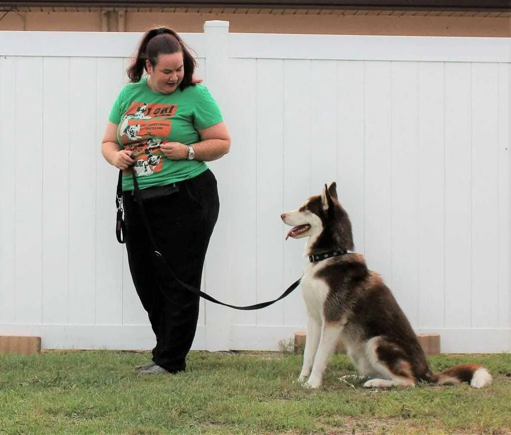 How to Stop Dogs From Jumping 6