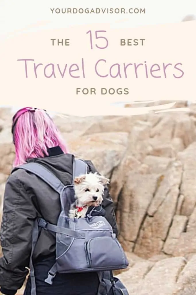 Best Dog Carrier - 15 of Our Favorites! 6